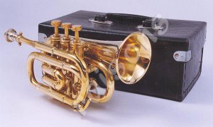 New Brass B flat Pocket Trumpet w Case