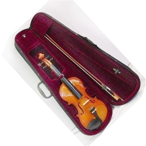 Austin Bazaar Full Size Violin 4 X 4 with Case - Natural Color