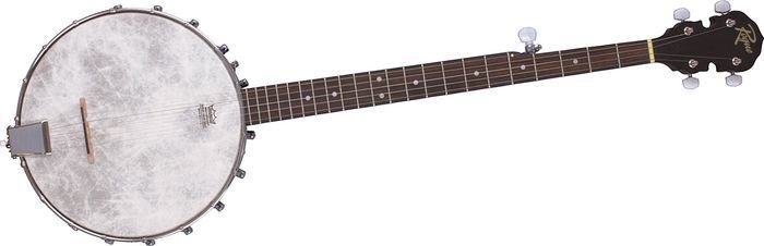 Starter Banjo