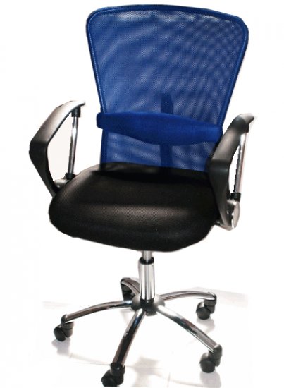 Blue Mesh Chair