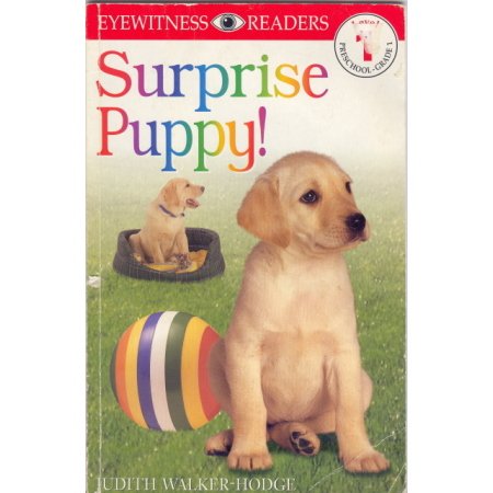 Surprise Puppy! Level 1 Pre- Grade 1 Eyewitness Readers Book
