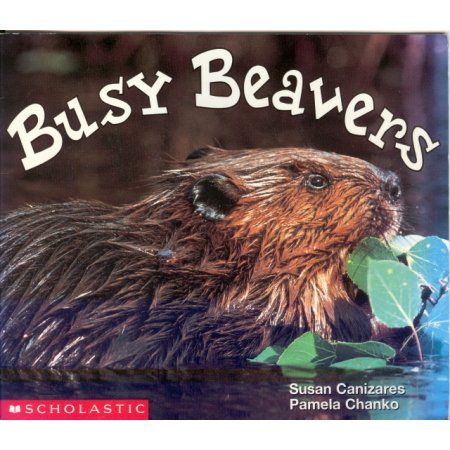 Busy Beavers Early Reader Pre-school Science Reading