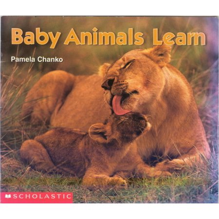 Baby Animals Learn Reading Pre-school Science Reader Book