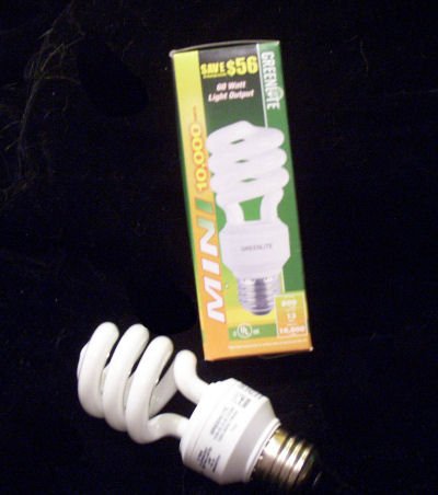 13 watt energy-efficient lightbulb, replaces 60 watts