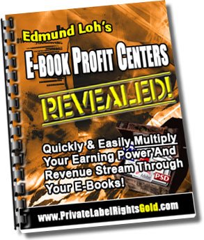 eBook Profit Centers Revealed