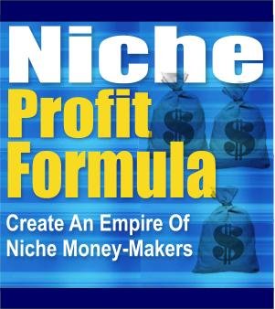 Niche Profit Formula