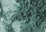 MAC Pigment * TEAL * 1/4 sample - $ave Pigments