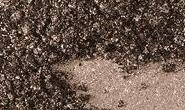 NEW MAC Pigment * Museum Bronze * 1/2 sample - $ave Pigments