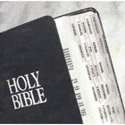 Bible Tabbies Silver Regular Size