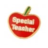 Special Teacher Apple Charm