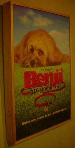 Home Theatre Movie Poster Lightbox PINE WOOD FRAME