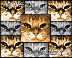 Cat Canvas Art - Submit YOUR dog!