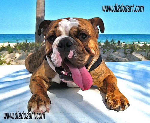 Dog Canvas Art - Submit YOUR dog!