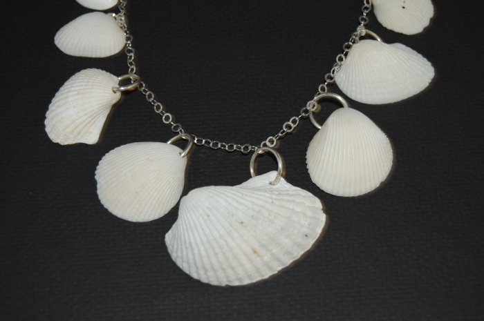 Large Shell and Silver Necklace