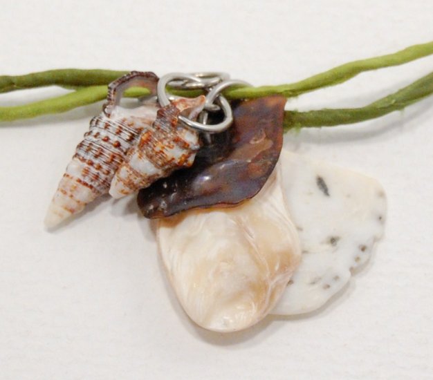 Shell Cluster on Silk Cord