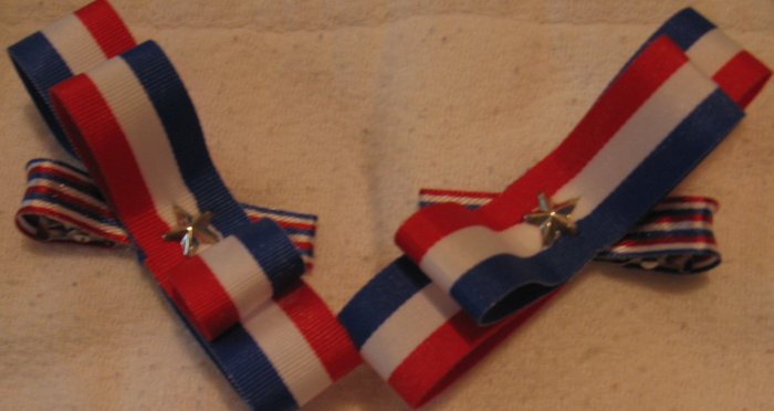 Red White and Blue Barrettes 2
