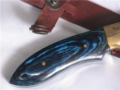 BLUE Handle 8" hunting Knife Stainless w/Brass Bolsters