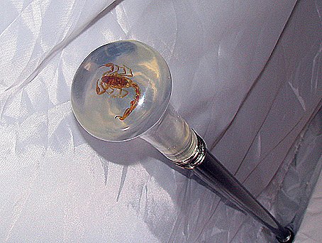 SCORPION Cane/Walking Stick 34" NO RESERVE Collectors