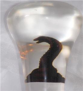 Acrylic COBRA CANE/WALKING STICK 34" NEW Collectors