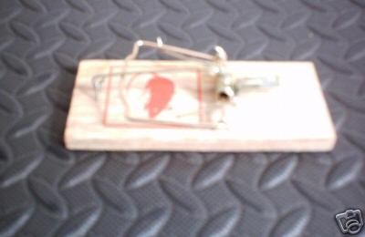 7" Mouse Traps - Mouse killer