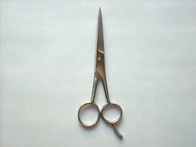 Pet Hair Cutting Scissors - 6x1/2 " - best selling in market