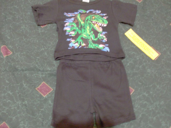 NWT Giant Lizard 2 Piece Set 4T