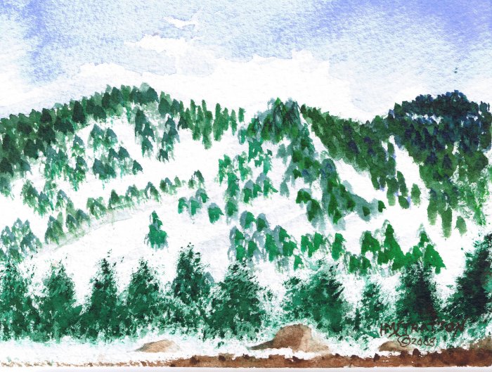 008 PRINT - Pines in the Snow (Original not available)