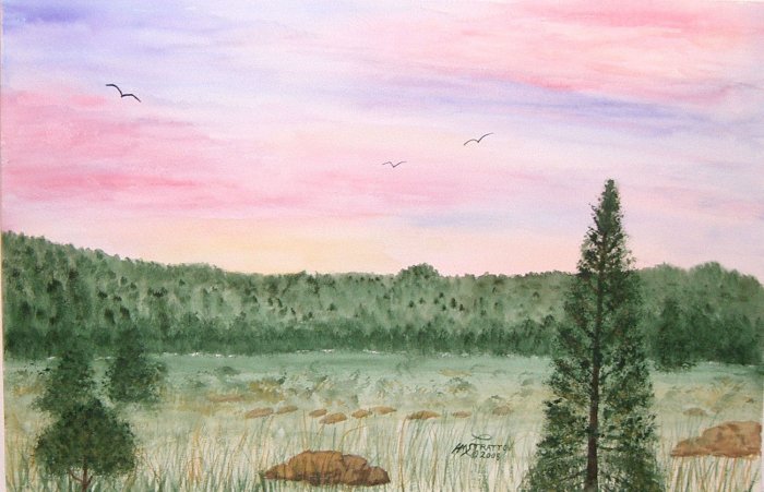 026 Birds in the Sunset