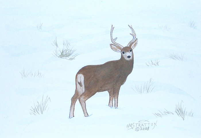 055 On The Alert