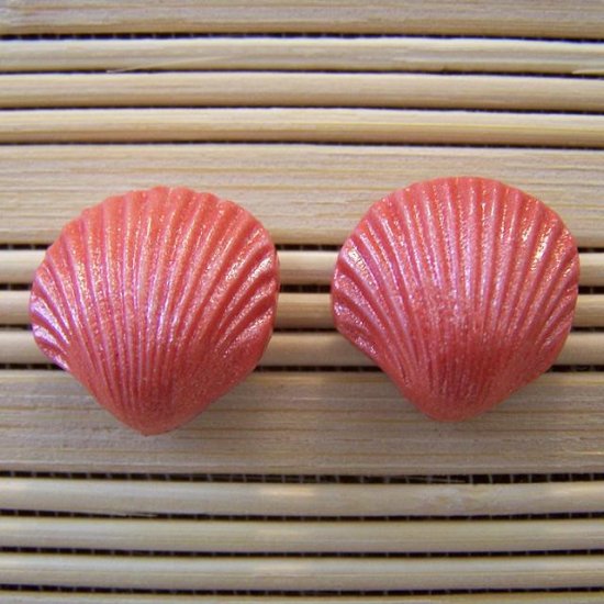 shell shaped coral stud earrings