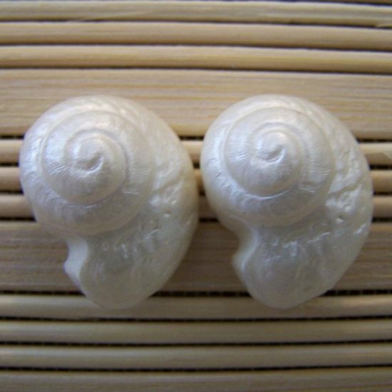 pearly shell stud earrings