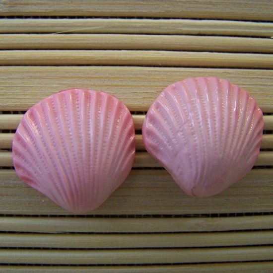 shell shaped pink earrings large