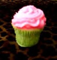 CUPCAKE Candles 4 Watermelon