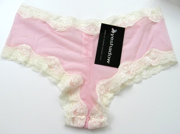 A0152 Eyeshadow Sheer Mesh Lace Accent Boyshort PINK, SIZE XL (8)