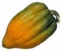 Squash