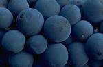 Blueberries