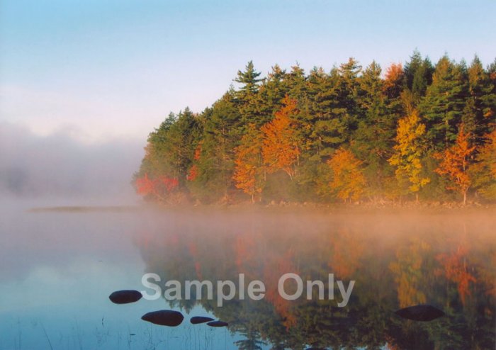 "Misty Point" - 5x7 - Original Color Photo - signed