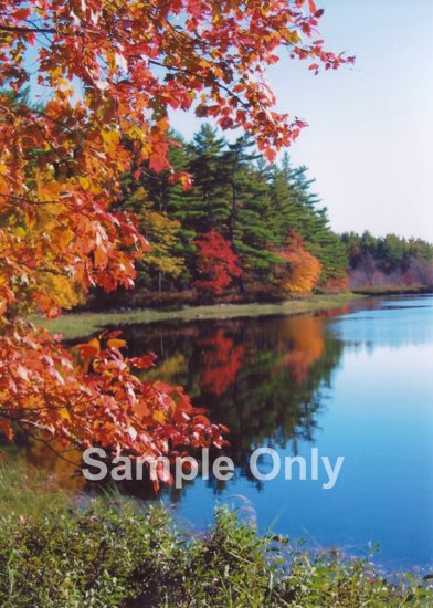"Autumn Cove" - 5x7 - Original Color Photo - signed
