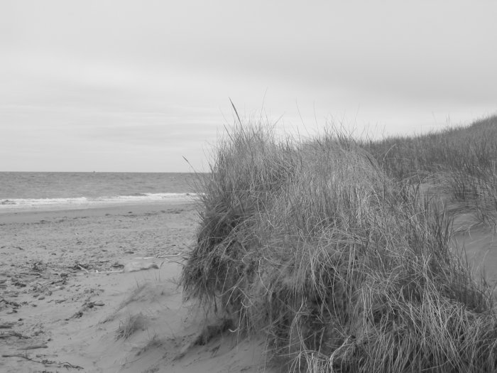 "Dune" - 8x10 - Original Black and White Photo - signed