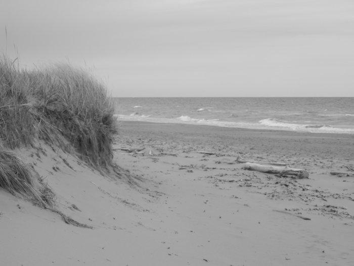 "Sand and Surf" - 8x10 - Original Black and White Photo - signed
