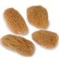URBAN SPA FACIAL SEA SPONGES