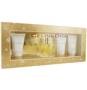 CELINE DION FRAGRANCE GIFT SET FOR WOMEN BY CELINE DION