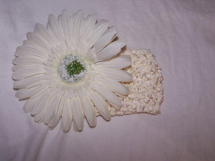 White on White Daisy