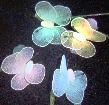One Dozen Italian Butterfly Confetti Favor