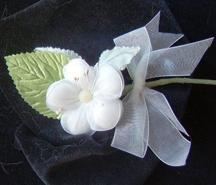 One Dozen Margheritini Daisy Italian Wedding Flowers
