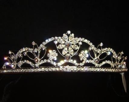 Gemma Crystal and Rhinestone Tiara in Silver