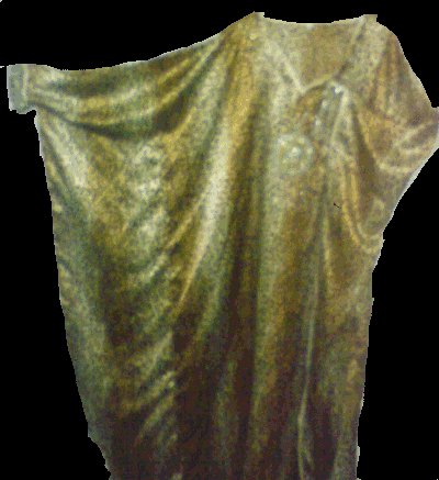 Cheetah Print Butterfly Caftan