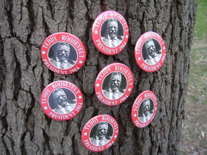 7-PACK OF HISTORIC BUTTONS HONORING PRESIDENT THEODORE ROOSEVELT BUTTONS PINS PINBACKS