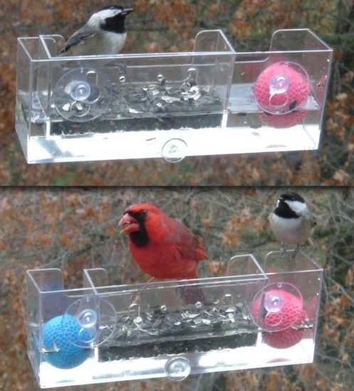 FLOATING WINDOW BIRD FEEDER OR BIRD BATH THAT FREEZES SLOWER