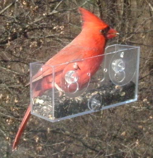 4-PACK OF BAKER WINDOW BIRD FEEDERS THESE BIRD FEEDERS CREATE A LOT OF JOY & HAPPINESS!